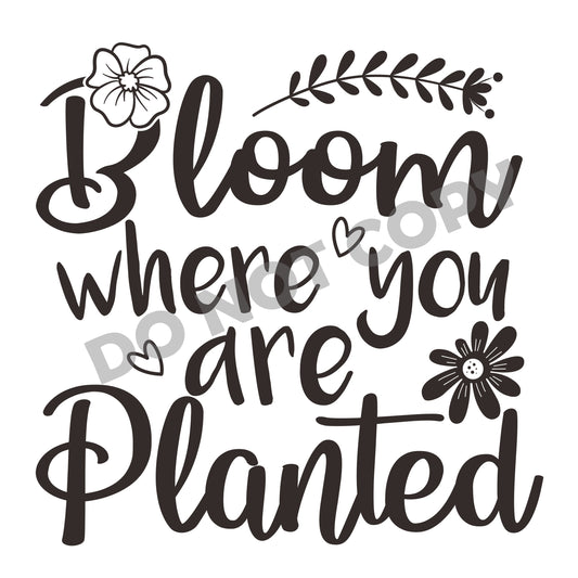 Bloom Where You Are Planted -DTF Transfer